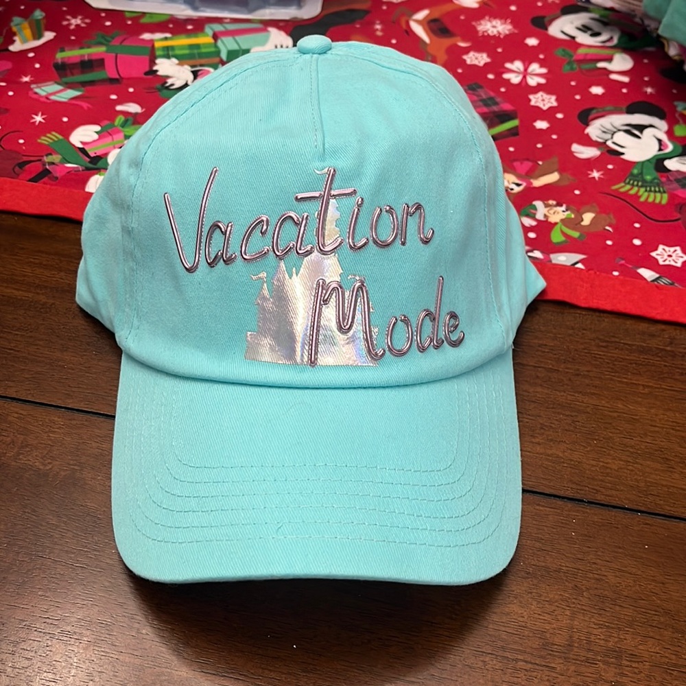 Disney park hat